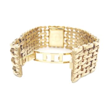 Ρολόι Roberto Cavalli Oryza Gold R7253124017